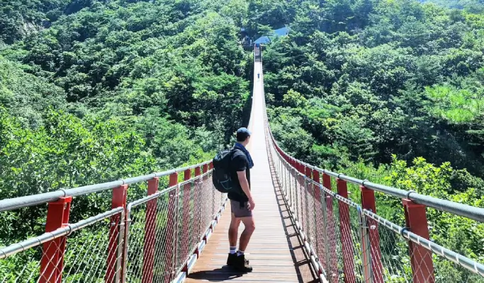DMZ & UNESCO Geopark 1 Day Tour from Seoul (with Optional Hantangang River Geopark or Gamaksan Valley)