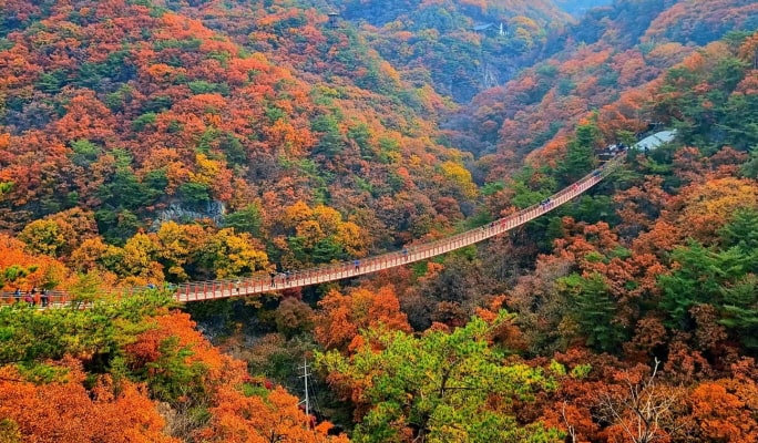 紺岳山＋恩平韓屋村之旅（＋Chorigol/ 摘草莓/ 天空公園選項） - 首爾出發