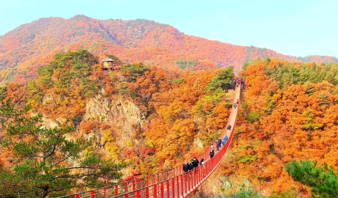 紺岳山＋恩平韓屋村之旅（＋Chorigol/ 摘草莓/ 天空公園選項） - 首爾出發