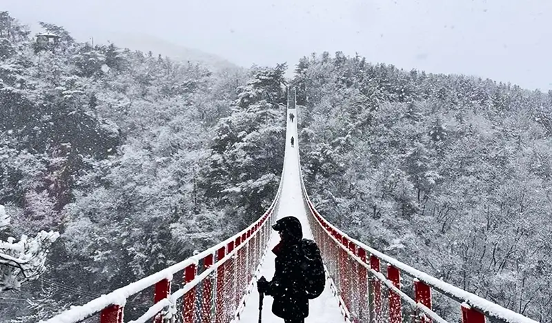 紺岳山＋恩平韓屋村ツアー（＋チョリゴル／イチゴ狩り／ハヌル公園オプション）－ソウル発