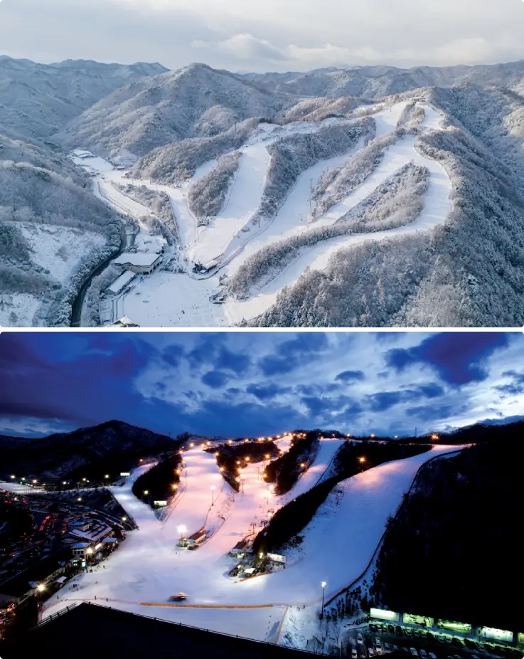 Quality snow and fun slopes at Elysian Ski Resort at day and night