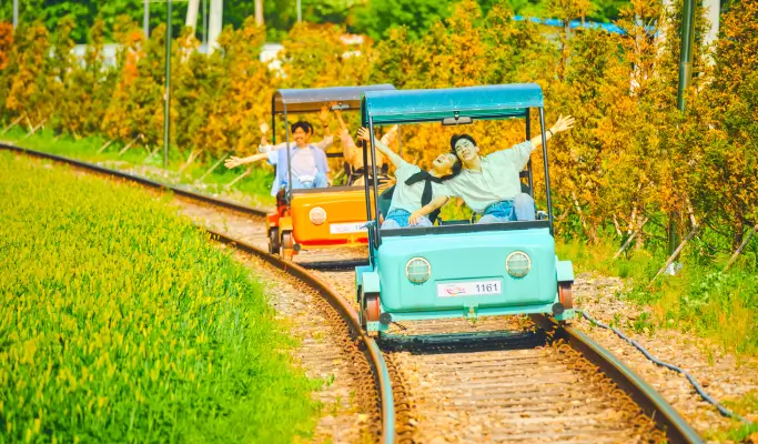 Nami Island + Gangchon Rail Bike + Nari Park Globe Amaranth/ Pink Muhly Festival 1 Day Tour from Seoul (Sept 5~Oct 20)