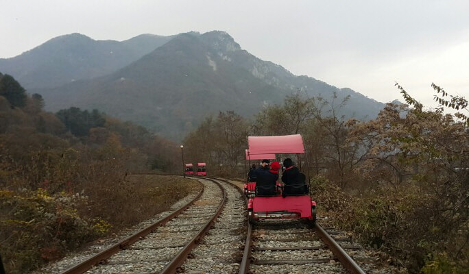 Seoul Vicinity: Nami Island + Gangchon Rail Bike + Strawberry Picking (+ Garden of Morning Calm) 1 Day Tour