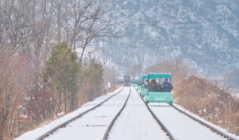 Nami Island & Alpaca World Tour (+ Rail Bike or Garden of Morning Calm options) - view 2