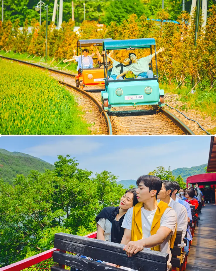 Visitors pedaling along a rail bike track with scenic views of trees and surrounding mountains.