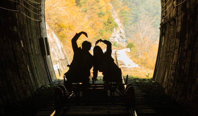 Nami Island & Apple Picking (+Rail Bike/ The Stay Healing Park/ Alpaca Garden) Tour