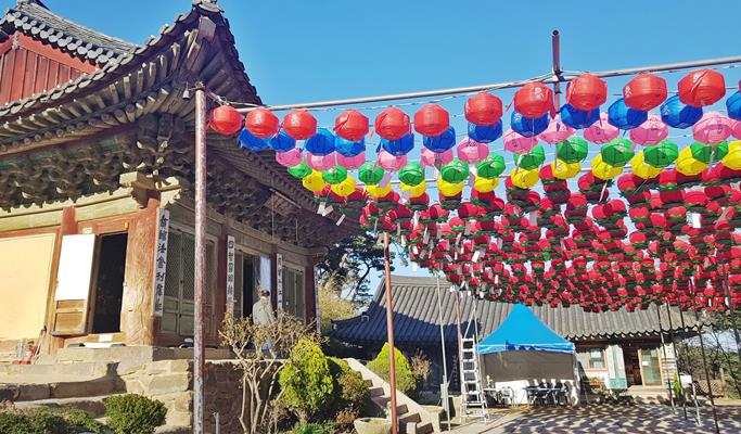 Ganghwa Island 1 Day Join-In Tour (+ Luge ride/Blueberry Picking) - from Seoul