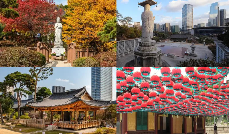 Modern Seoul 1 Day Tour in Gangnam: Bongeunsa Temple + COEX Aquarium + Starfield Library + Apgujeong Rodeo Street - view 1