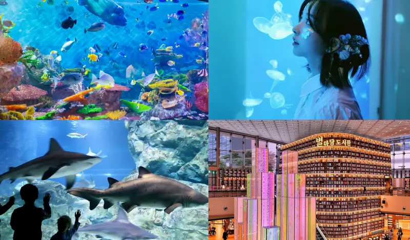 Modern Seoul 1 Day Tour in Gangnam: Bongeunsa Temple + COEX Aquarium + Starfield Library + Apgujeong Rodeo Street - view 2