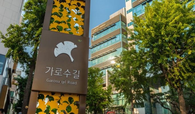 Gangnam 1 Day Tour: Starfield Library + Lotte Aquarium + Seoul Sky Observatory, and more
