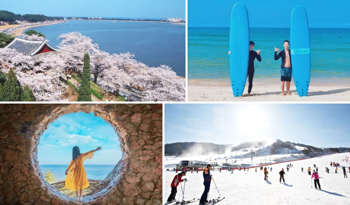 2D1N Gangneung Season's Best Tour