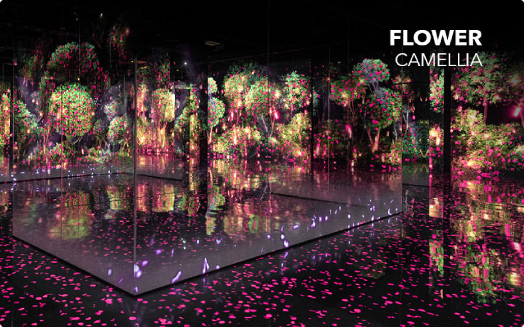Flower media art installation at Gangneung Arte Museum.