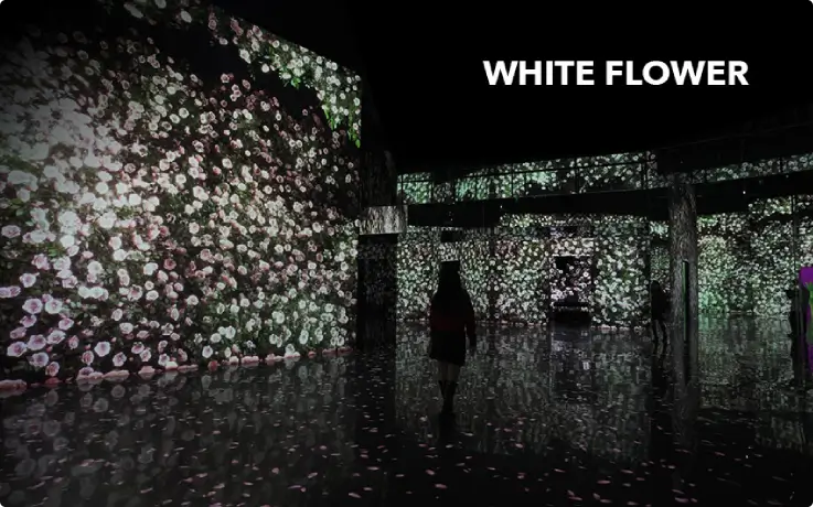 Flower media art at the Gangneung Arte Museum.