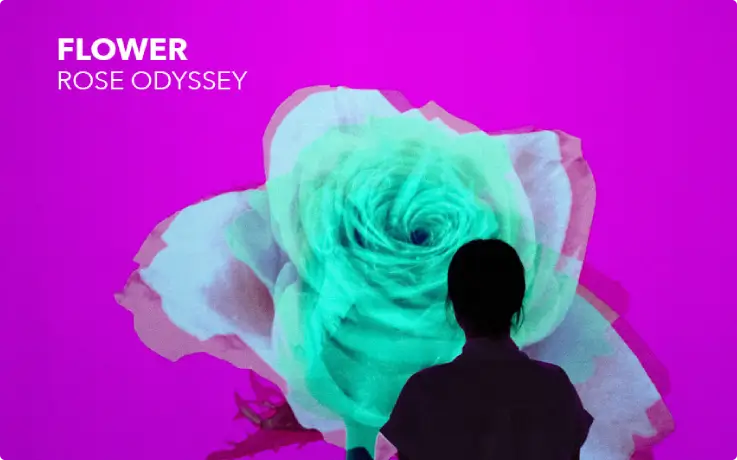 Flower media art at the Gangneung Arte Museum.