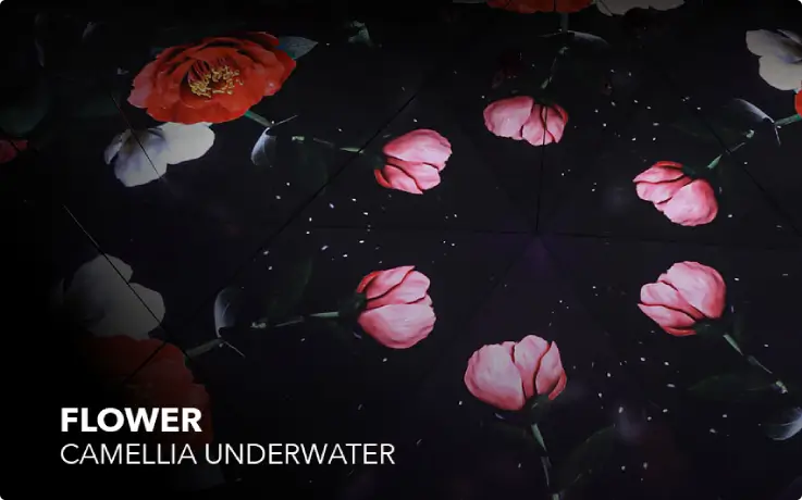 Flower media art at the Gangneung Arte Museum.