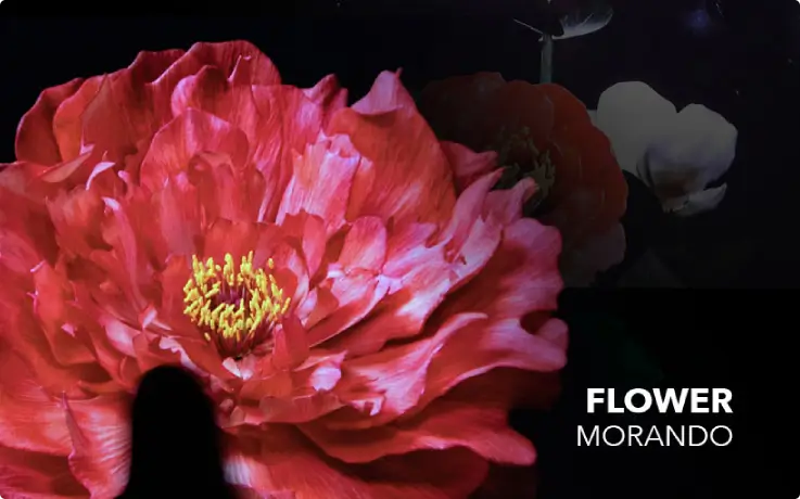 Flower media art at the Gangneung Arte Museum.