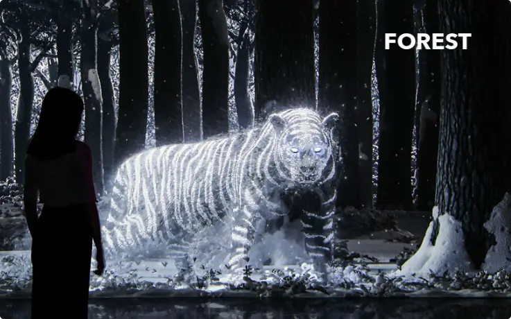 Forest media art at the Gangneung Arte Museum Valley.