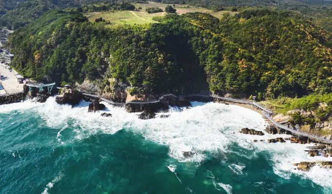 Gangneung 1 Day Tour from Seoul: Haslla Art World & Badabuchae Seaside Trail
