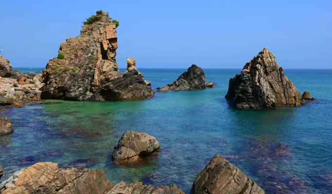 Gangneung 1 Day Tour from Seoul: Haslla Art World & Badabuchae Seaside Trail