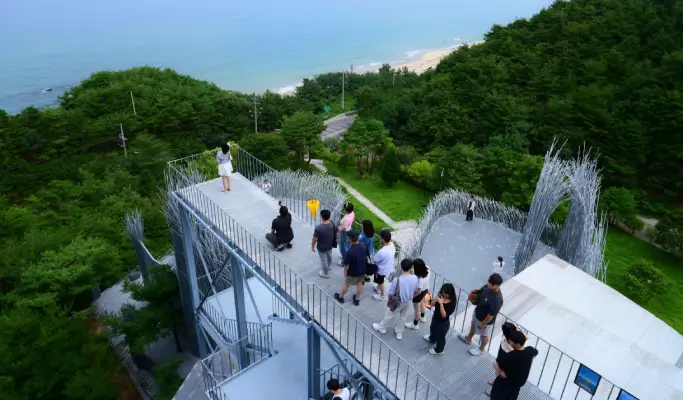 Gangneung 1 Day Tour from Seoul: Haslla Art World & Badabuchae Seaside Trail