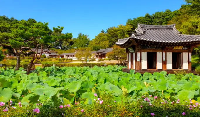 Gangneung & Donghae 2D1N Tour from Seoul: Mureung Byeolyucheonji & Nongoldam-gil Street Activities