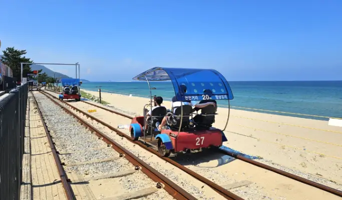 Gangneung & Donghae 2D1N Tour from Seoul: Coastal Beauty & K-pop Landmarks