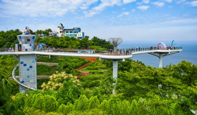 Gangneung & Donghae 2D1N Tour from Seoul: Coastal Beauty & K-pop Landmarks