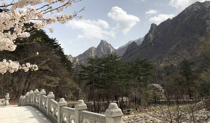 Spring Special: Seoraksan + Naksansa Temple / Nami Island + Everland / Masian Beach + Wolmi Island Join-in 1 Day Tour (Apr 3~Apr 18)
