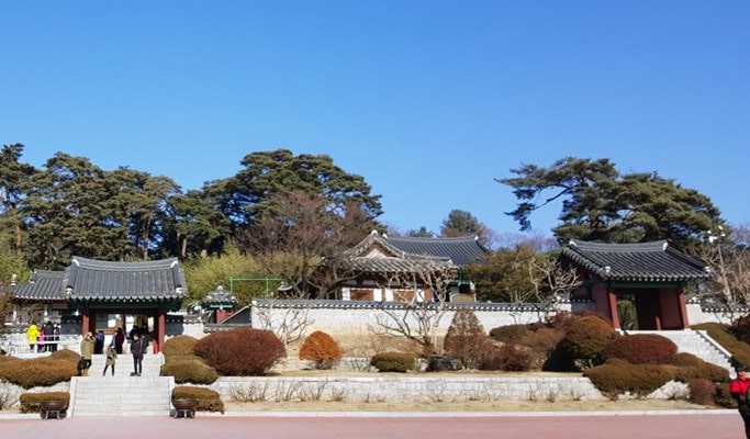 Pyeongchang / Gangneung / Hwacheon Sancheoneo Ice Festival 1 Day Private Tour from Seoul