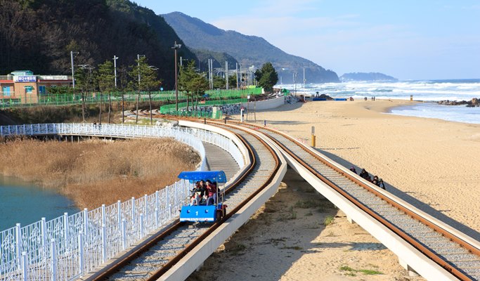 Jeongdong-Simgok Badabuchae-gil Trail + Gangneung Jungang Market + Jeongdongjin Rail Bike 1 Day Tour