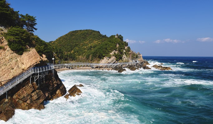 Jeongdong-Simgok Badabuchae-gil Trail + Gangneung Jungang Market + Jeongdongjin Rail Bike 1 Day Tour