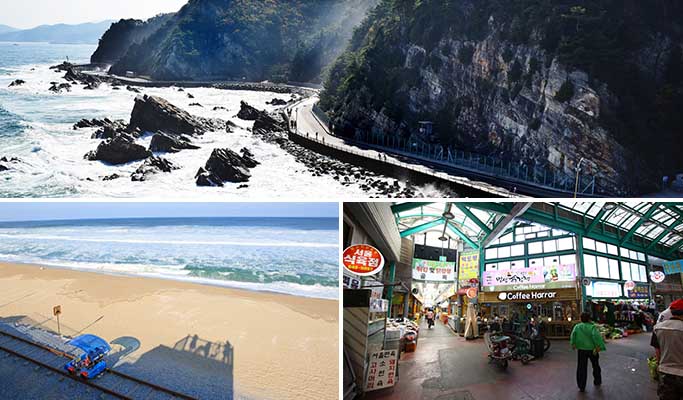 Jeongdong-Simgok Badabuchae-gil Trail + Gangneung Jungang Market + Jeongdongjin Rail Bike 1 Day Tour