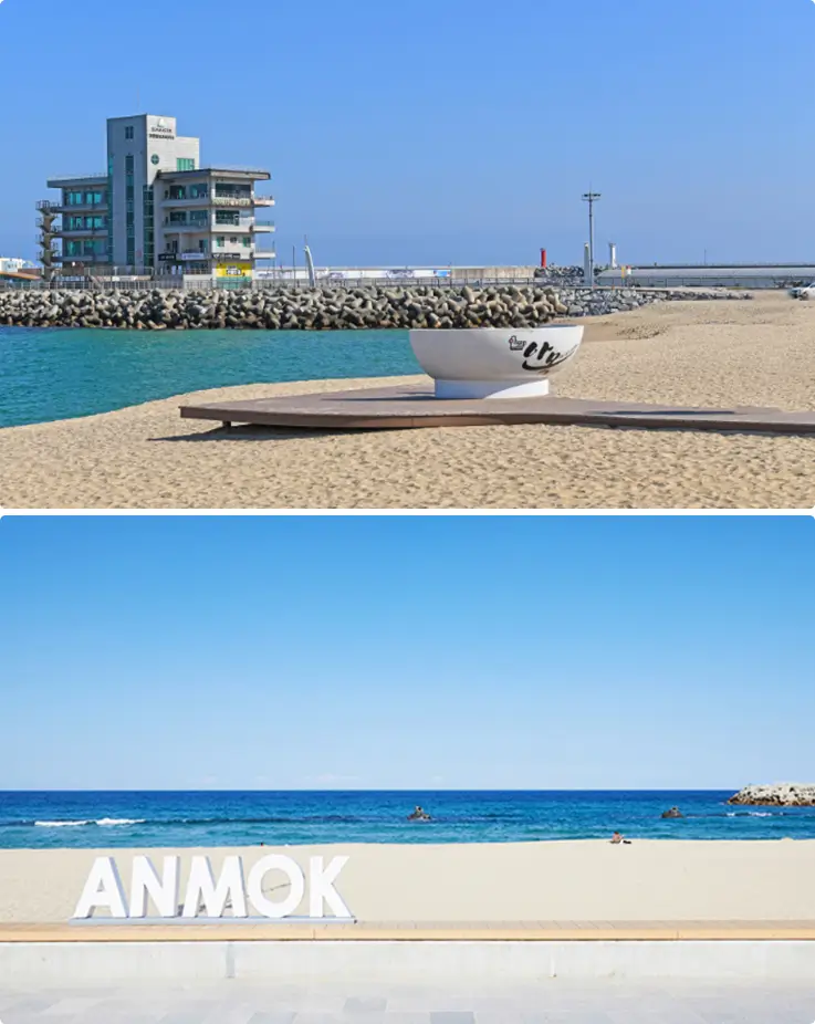 View of Anmok Beach Coffee Street with a large white coffee cup statue on the beachfront.