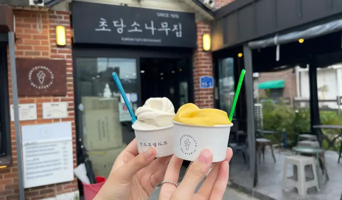 Gangneung 1 Day Tour from Seoul: Haslla Art World & Badabuchae Seaside Trail