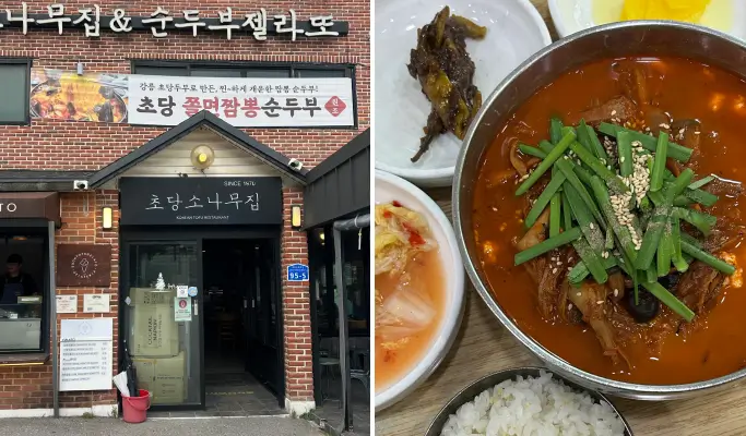 Gangneung 1 Day Tour from Seoul: Haslla Art World & Badabuchae Seaside Trail