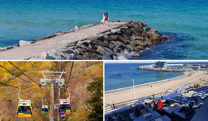 Korea Virtual Tour - Fun & Informative Gangneung (Live Commentary)