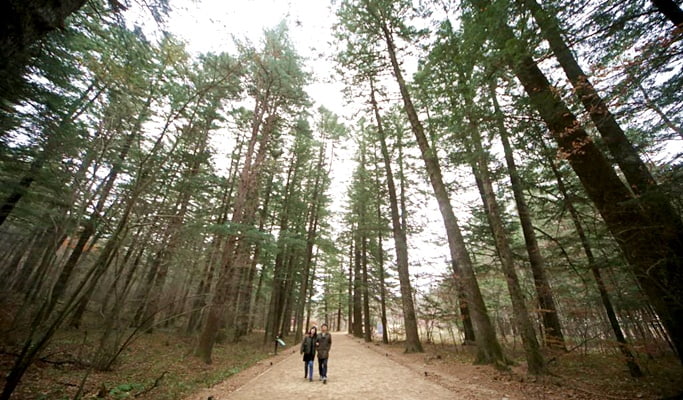 Winter K-Drama 1 Day Private Tour: Gangwon Province