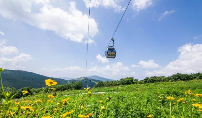[Gangwon Wonderland] 2D1N Gangwon Activity Tour from Seoul
