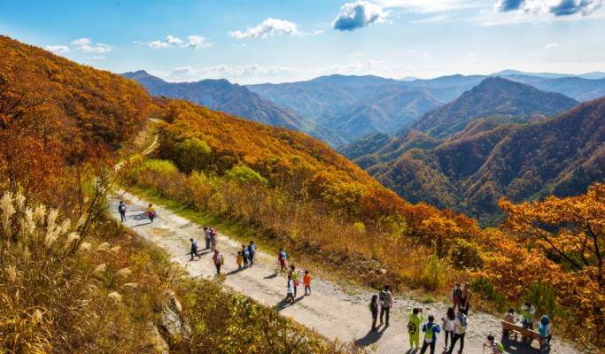 [Gangwon Wonderland] 2D1N Gangwon Activity Tour from Seoul