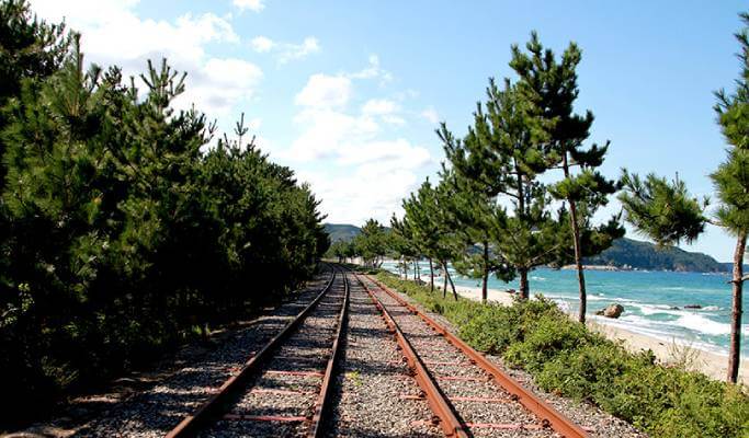 [Gangwon Wonderland] 2D1N Gangwon Activity Tour from Seoul