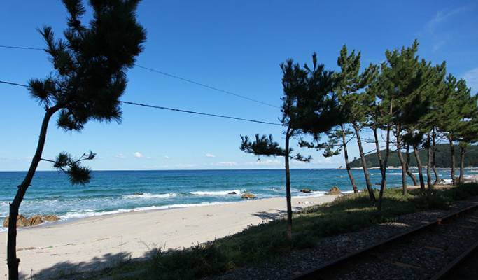 [Gangwon Wonderland] 2D1N Gangwon Activity Tour from Seoul