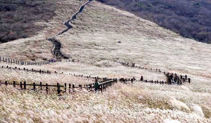 Busan & Gyeongju 1 Day Tour from Busan