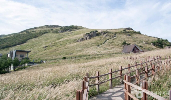 Busan & Gyeongju 1 Day Tour from Busan