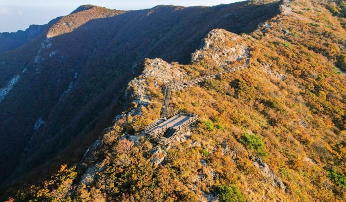 Busan & Gyeongju 1 Day Tour from Busan