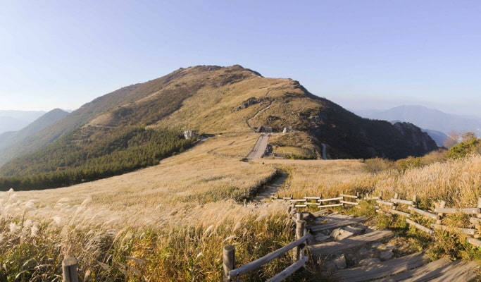 Busan & Gyeongju 1 Day Tour from Busan
