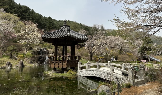Gapyeong Train & City Tour Bus Ticket (+ Nami Island, Garden of Morning Calm & more) (~June 30)