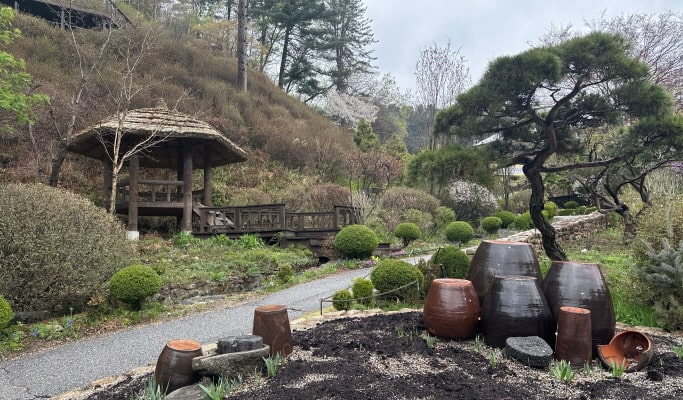 Gapyeong Train & City Tour Bus Ticket (+ Nami Island, Garden of Morning Calm & more) (~June 30)