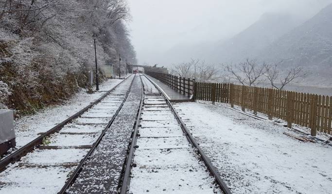 Gapyeong Rail Park - Rail Bike Ticket