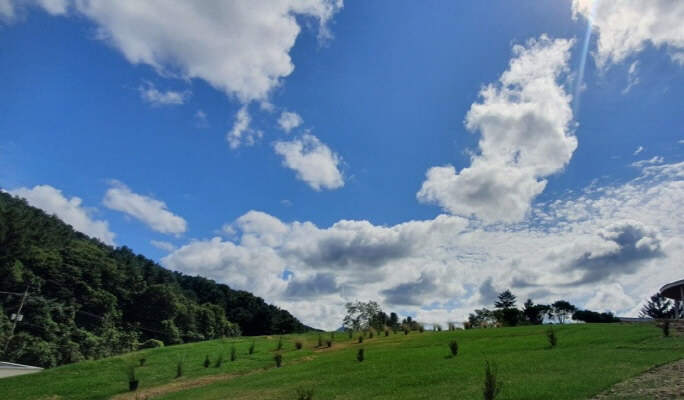 Gapyeong Sheep Farm + Nami Island + Garden of Morning Calm (+Gapyeong Rail Bike/Petite France) 1 Day Tour from Seoul