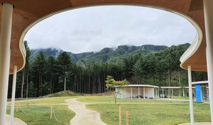 Gapyeong Sheep Farm + Nami Island + Garden of Morning Calm (+Gapyeong Rail Bike/Petite France) 1 Day Tour from Seoul